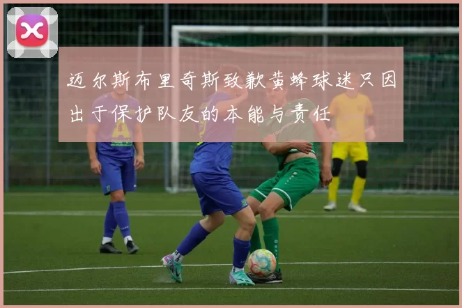 迈尔斯布里奇斯致歉黄蜂球迷只因出于保护队友的本能与责任