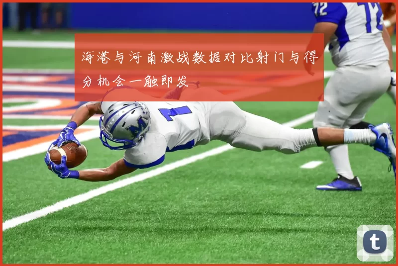 海港与河南激战数据对比射门与得分机会一触即发